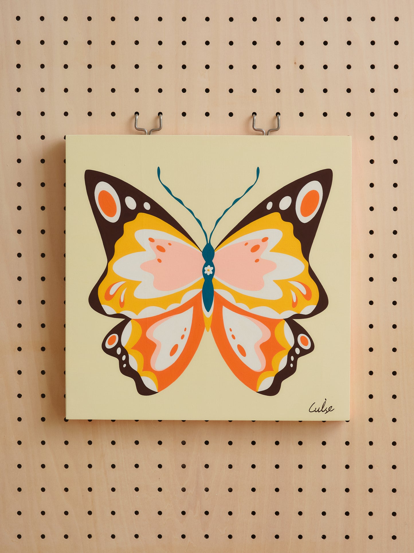 Buterfly Specimens