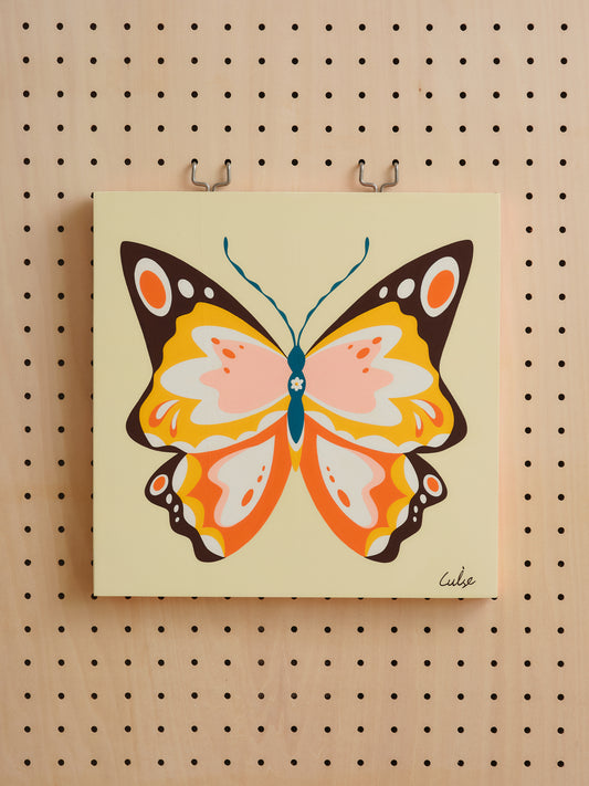Buterfly Specimens