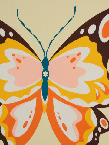 Buterfly Specimens